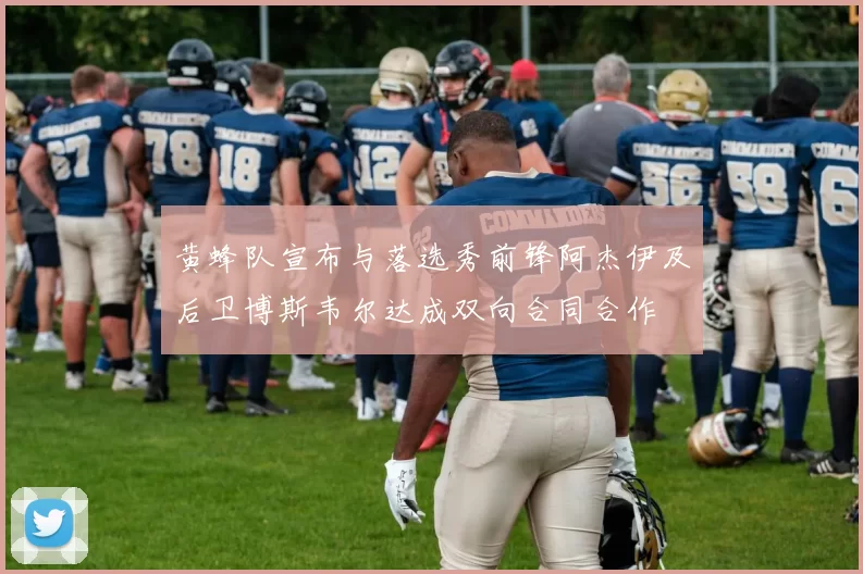黄蜂队宣布与落选秀前锋阿杰伊及后卫博斯韦尔达成双向合同合作