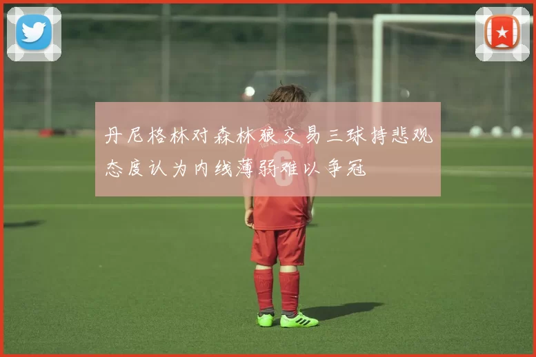 丹尼格林对森林狼交易三球持悲观态度认为内线薄弱难以争冠